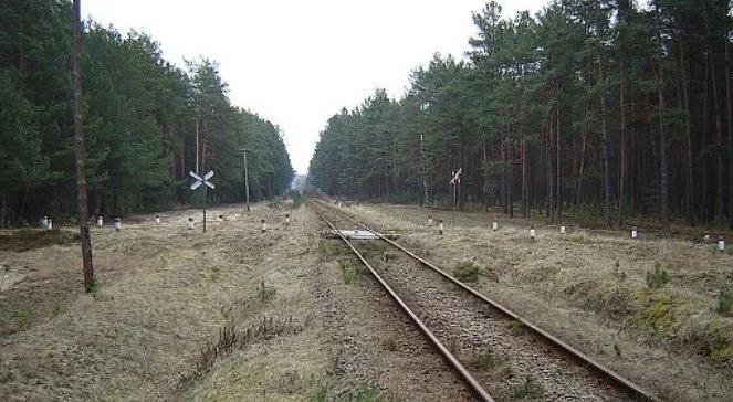 Śmiertelny wypadek na torach. Maszynista pijany