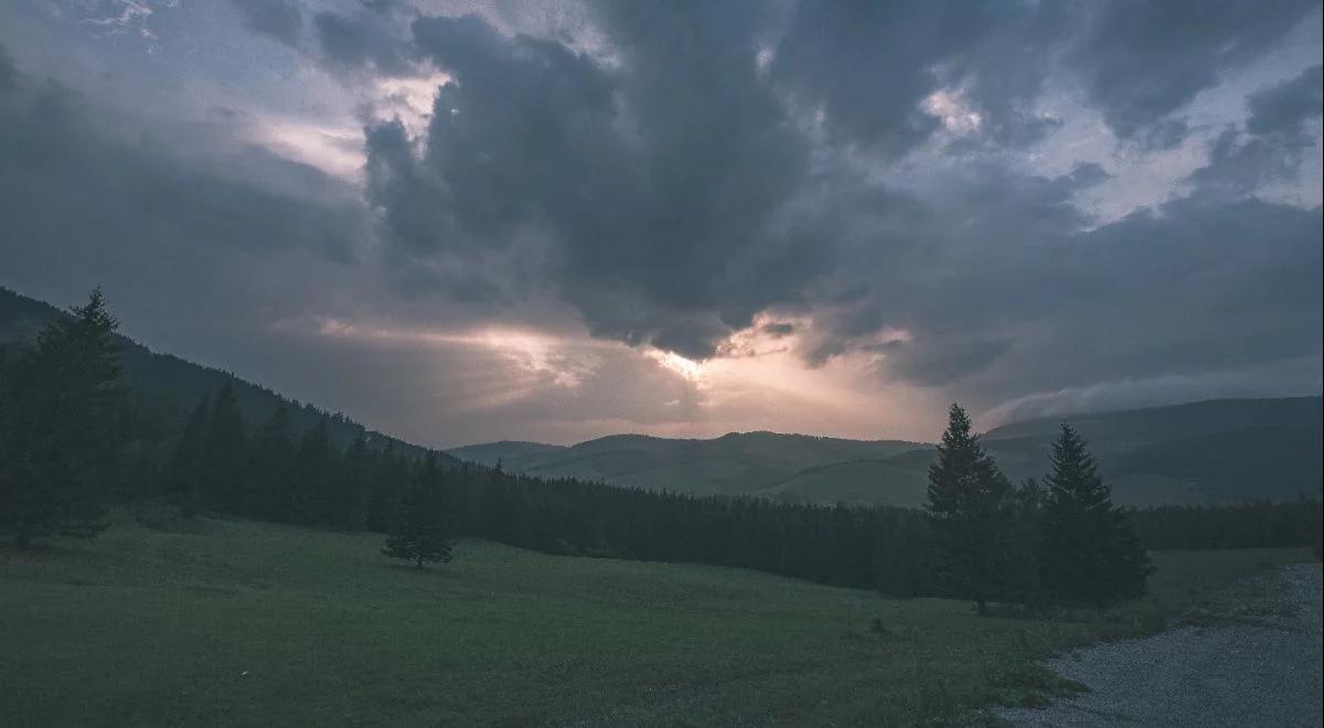 Naturalnie zapobiec powodzi. Ekspert o znaczeniu lasów i mokradeł