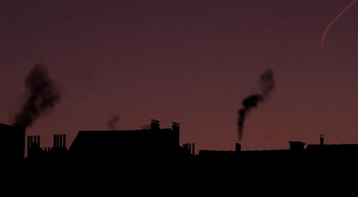 Smog i ubóstwo energetyczne idą w parze