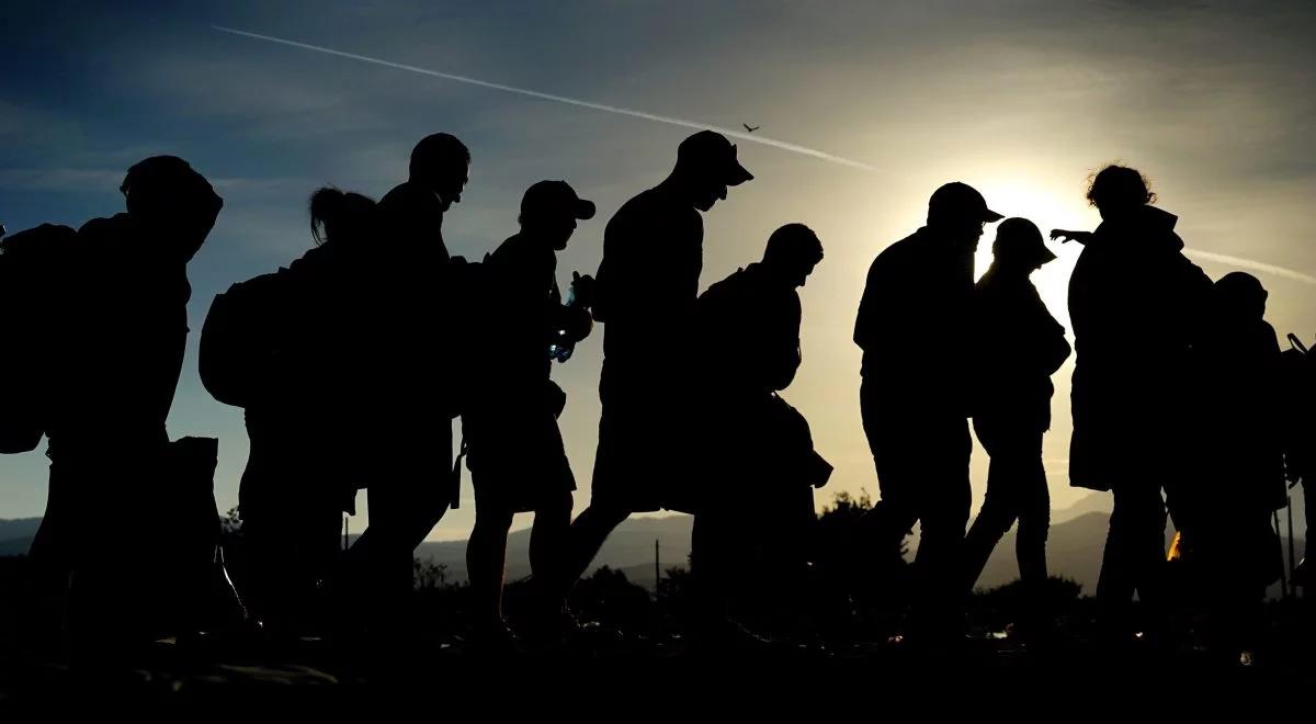 Czy Polska powinna przyjąć imigrantów? Nowe sondaże