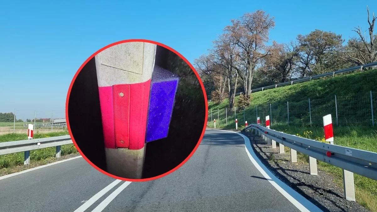 Niebieskie odblaski przy drodze. Tłumaczymy, czym są "wilcze oczy"