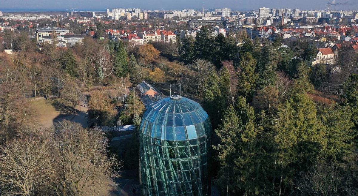 Silny wiatr w Gdańsku. Zamknięto cmentarze, Park Oliwski i zoo