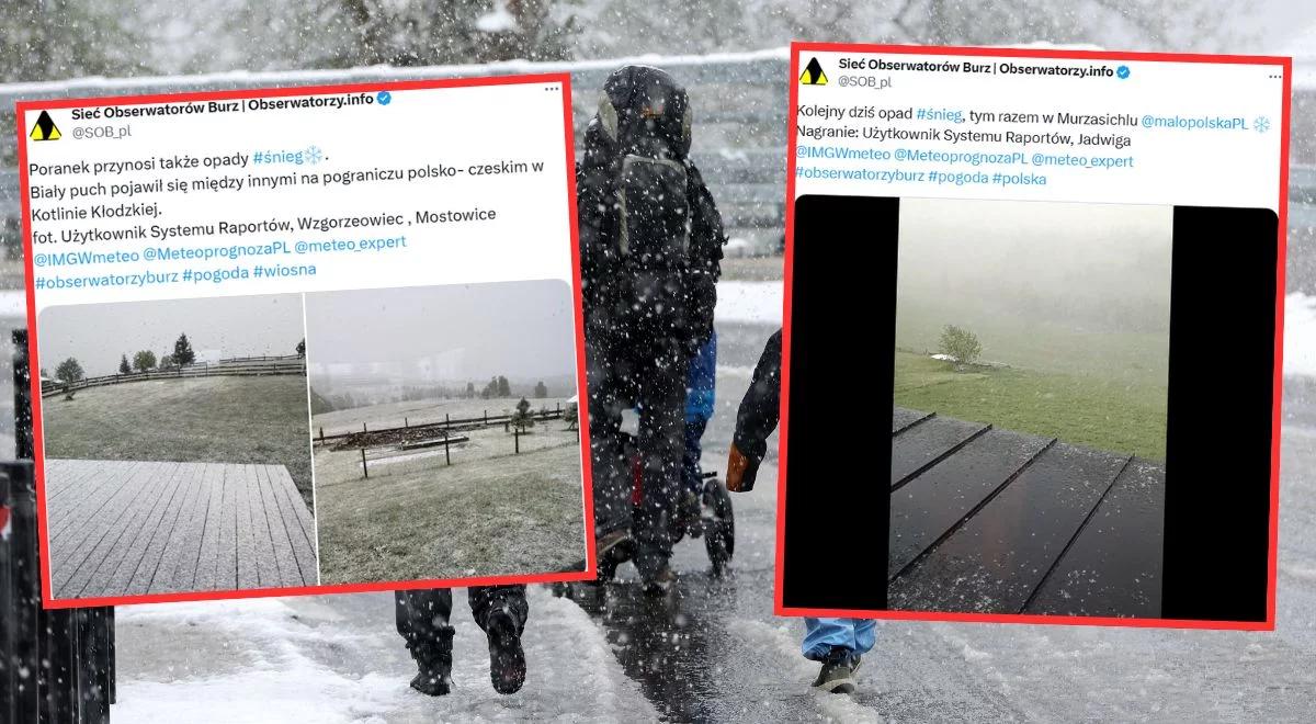 Wielki powrót zimy do Polski. Uderzyła z zaskoczenia. Nadchodzą śnieżyce i zawieje