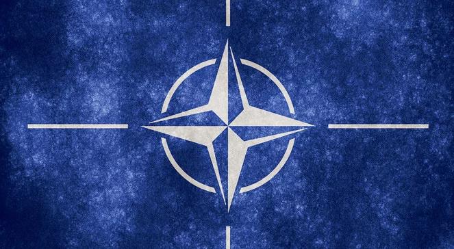 Gry wojenne? Manewry NATO przy granicy z Rosją