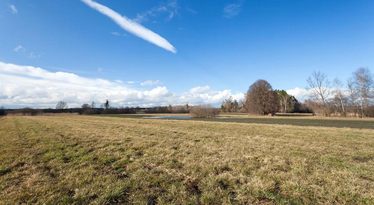 Najnowsza prognoza IMGW. Na zachodzie Polski prawdziwie wiosenna temperatura