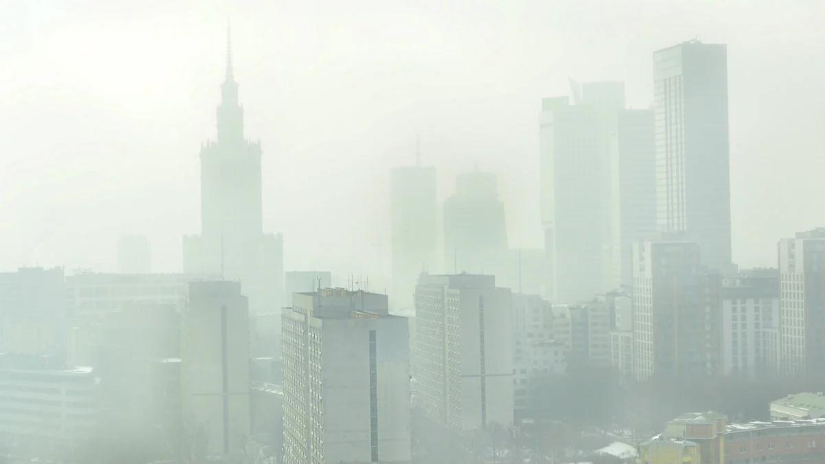Pozew za smog. Jak zanieczyszczone powietrze narusza dobra osobiste?