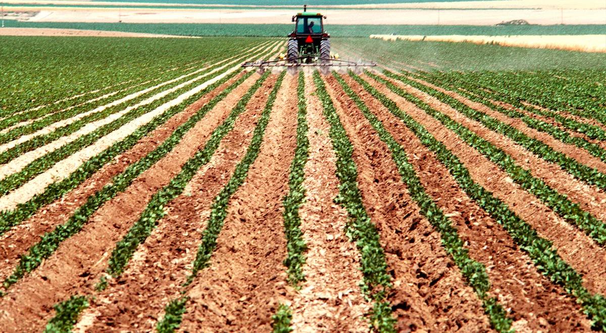 ARiMR: rusza nabór wniosków o wsparcie grup producentów rolnych