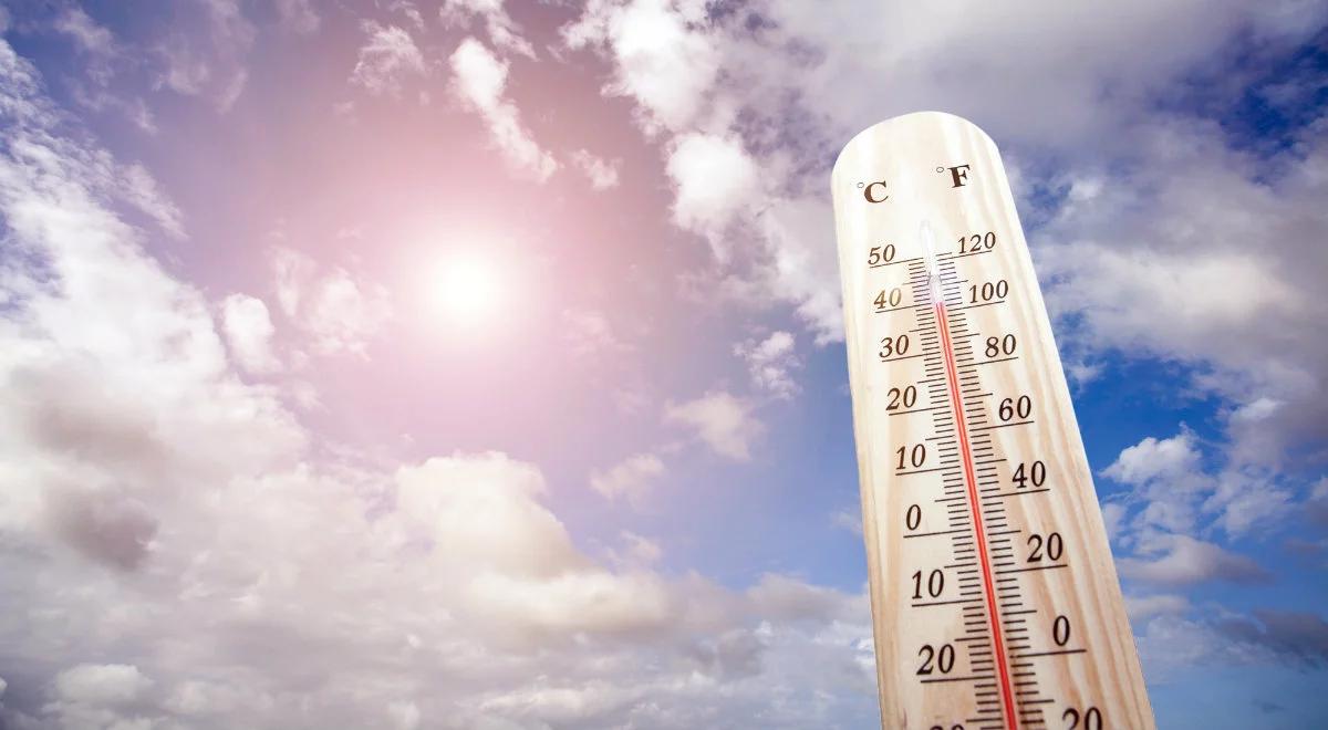 Upał szkodzi gospodarce. Ze wzrostem temperatury spada nasza wydajność i funkcje poznawcze
