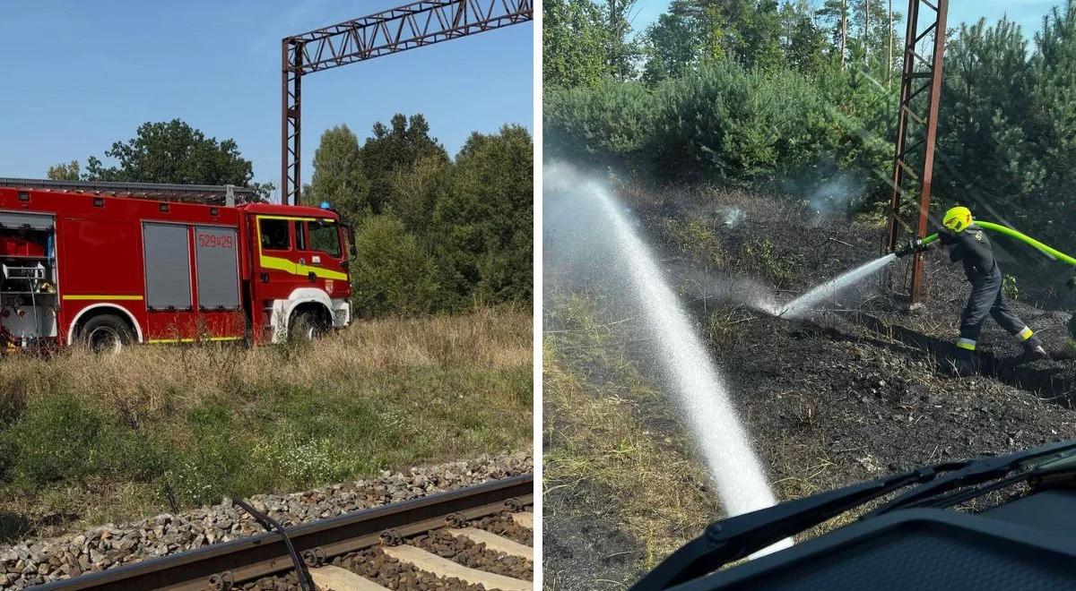 Ogromny pożar w Wielkopolsce. Ogień rozciąga się na 15 kilometrów