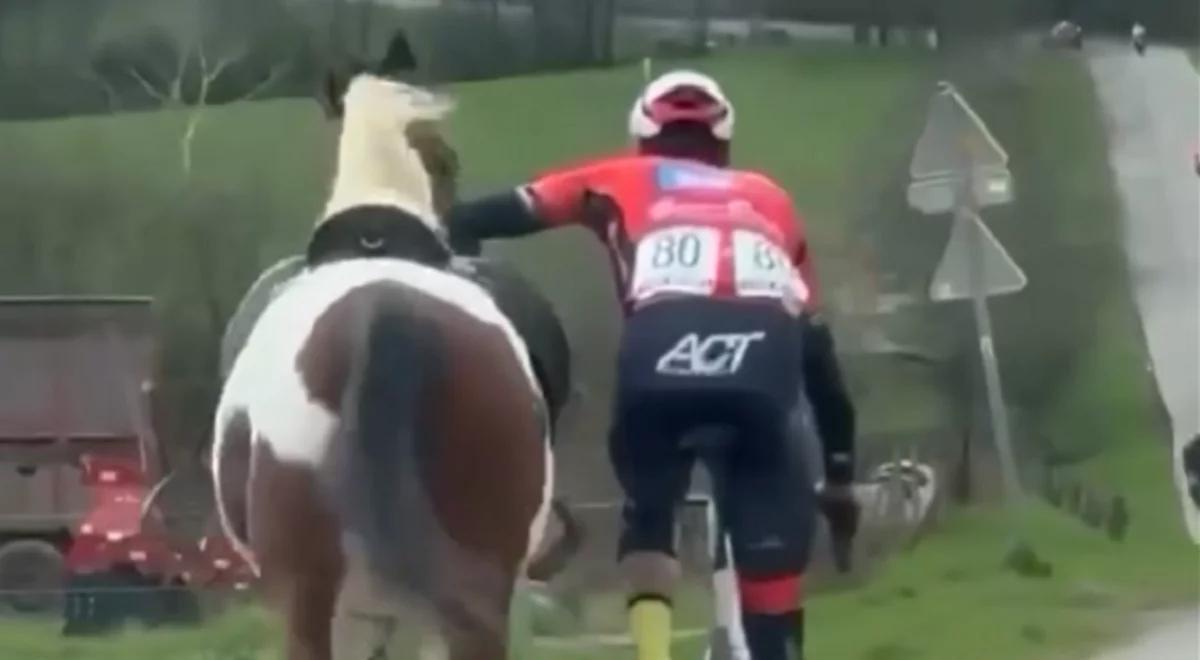 Kolarz uratował peleton przed szarżującym wierzchowcem. Lars Daniels "zaklinaczem koni"