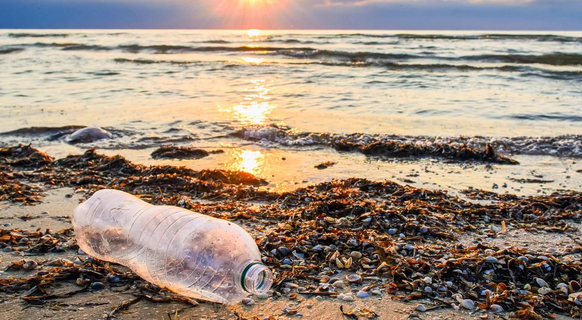 Wiceminister klimatu: chcemy zaostrzyć kary za zaśmiecanie plaż, lasów i gór