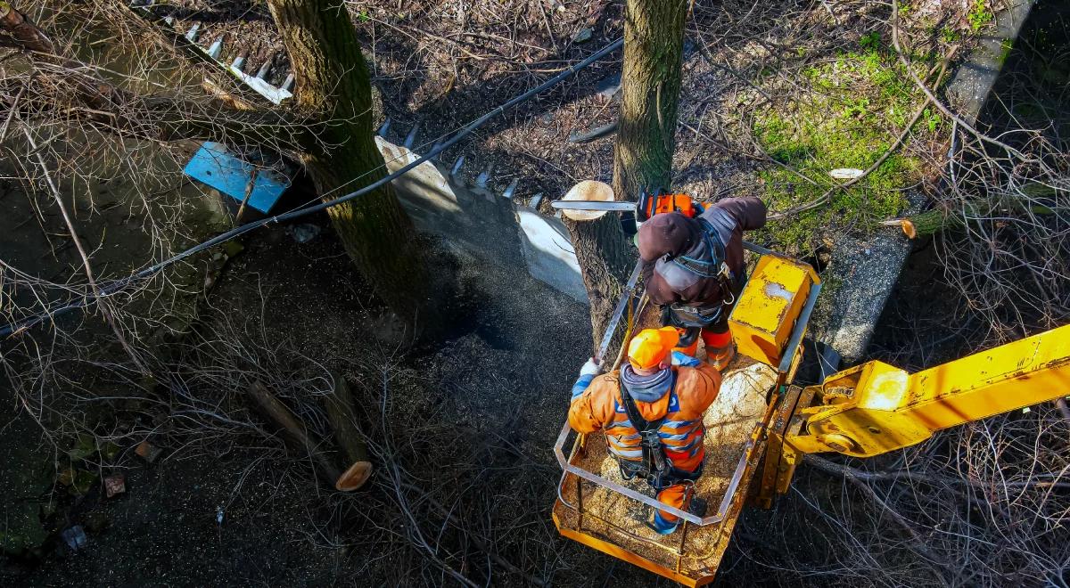 Podtopienia miast po ulewach. Rachunek za masową wycinkę drzew