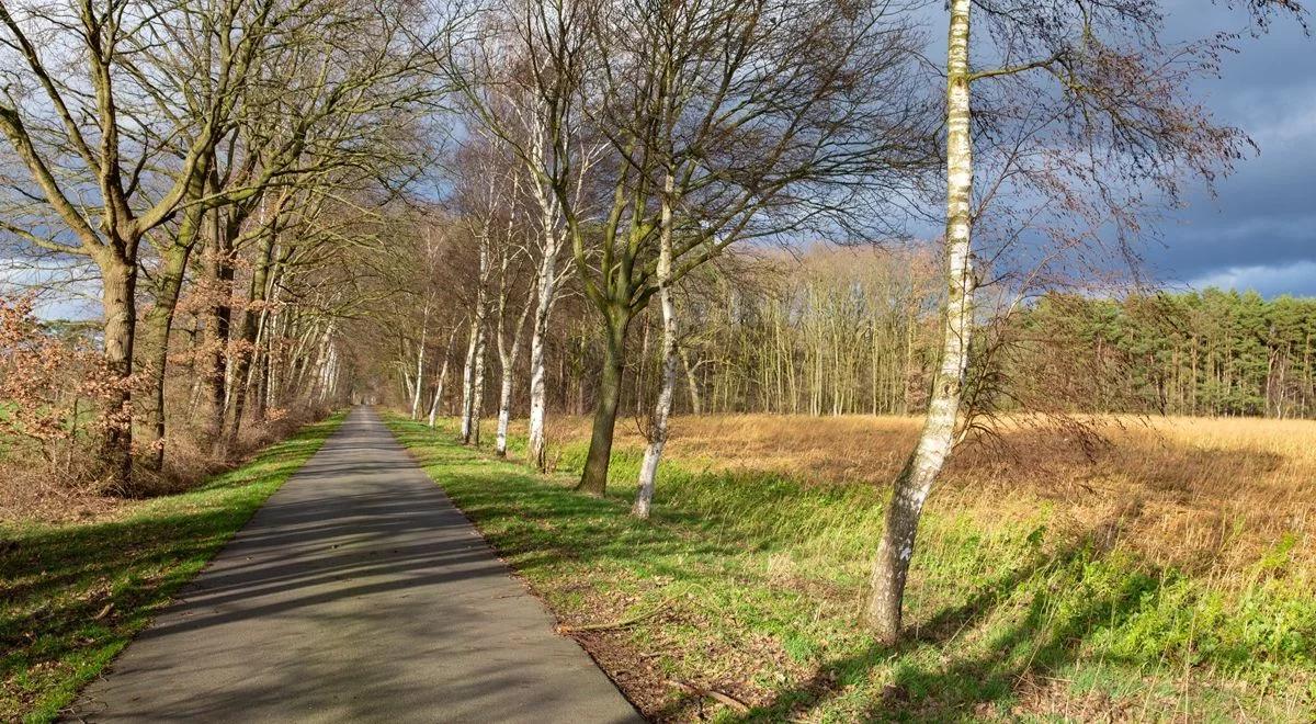 Temperatura może dziś zaskoczyć. Nawet 17 st. C na południu. "Winny" ciepły wiatr