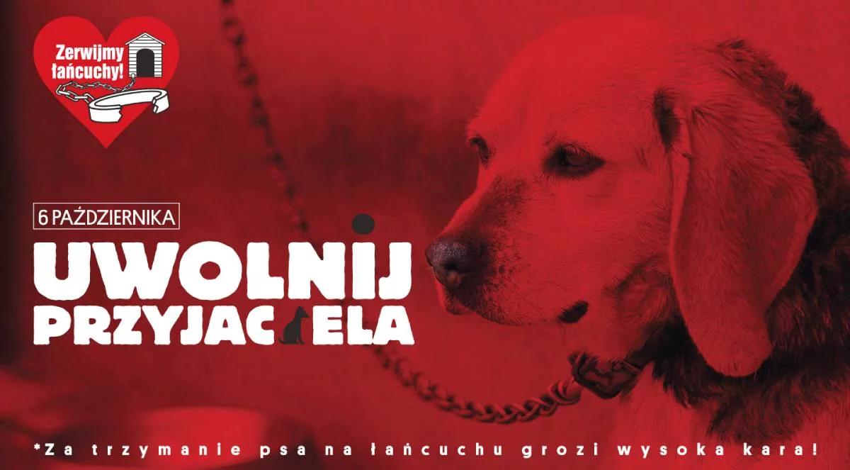 Ogólnopolski protest "Zerwijmy łańcuchy". Współorganizatorka: to głośny sprzeciw wobec niecnych praktyk