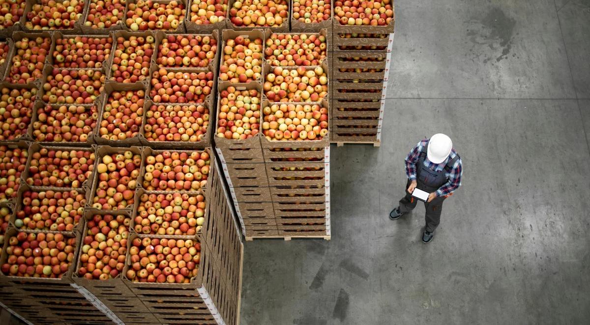 Dotacje dla rolników, którym nie zapłacono za produkty rolne. Za kilka dni ustawa wejdzie w życie