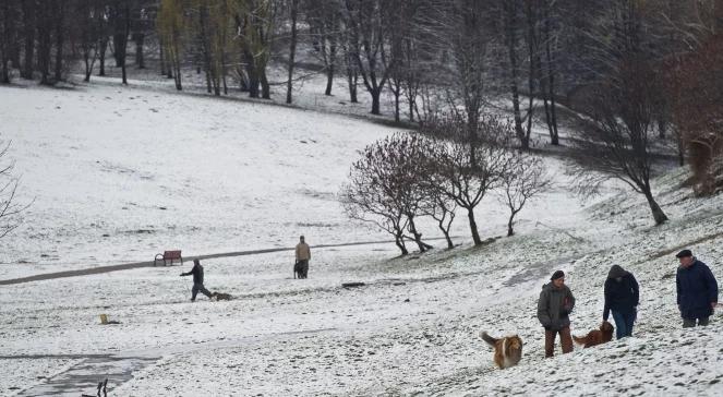 Nagły powrót zimy. Śnieg, deszcz i silny wiatr