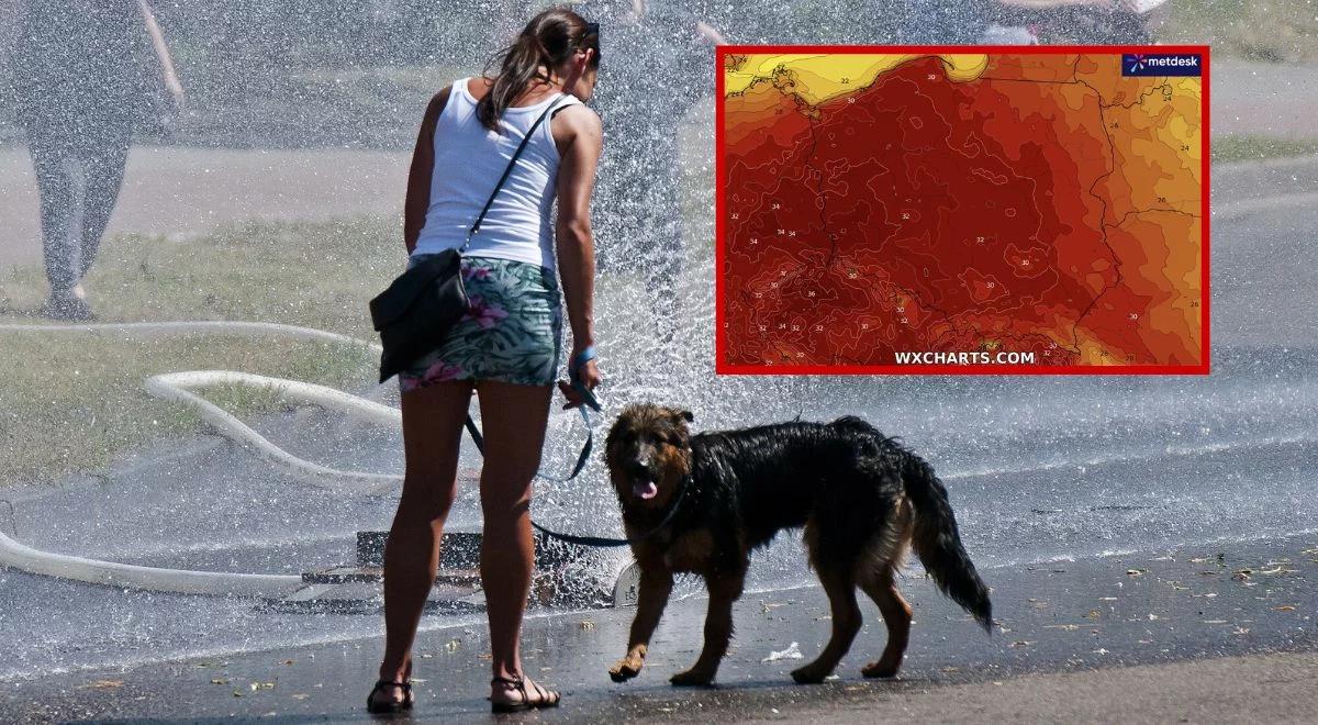 Pogoda. Żar z nieba, mapa "na bordowo". IMGW wydał alerty najwyższego stopnia