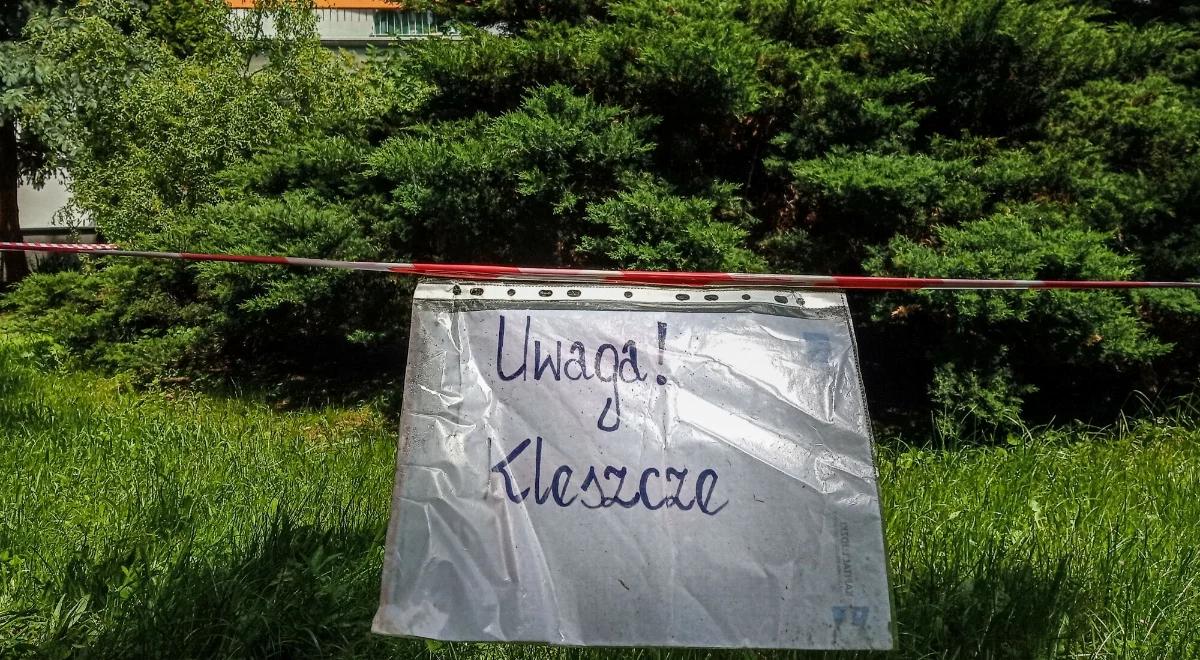 Warszawa w sidłach kleszczy. Naukowcy mówią wprost: ich ilość nas zaskoczyła