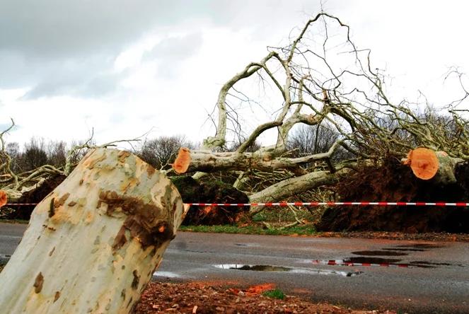 Wichury nad Polską. Ponad 500 interwencji