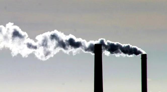 Grzechy główne polskiej polityki klimatycznej