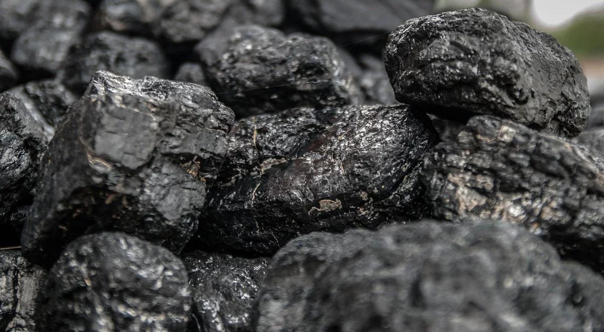 Polityka energetycznej Polski do 2050 roku: węgiel kamienny i brunatny pozostaną podstawowymi paliwami