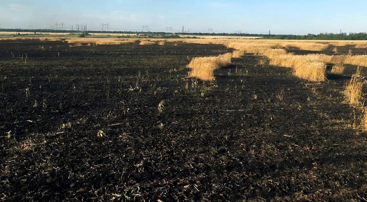 Prezydent Zełenski: tegoroczne żniwa na Ukrainie są zagrożone