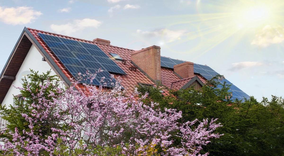 Na świecie zużycie energii z OZE rośnie w tempie kilkukrotnie szybszym niż konwencjonalnej. Jest nowy raport