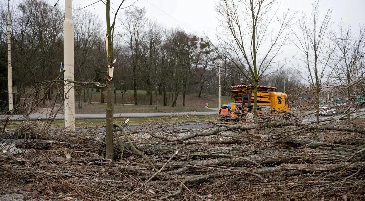 Ponad tysiąc interwencji strażaków. Silny wiatr wciąż stanowi zagrożenie