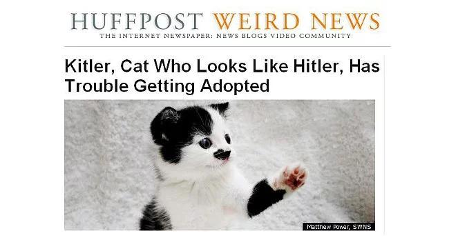 Nikt go nie chce adoptować. "Podobny do Hitlera"