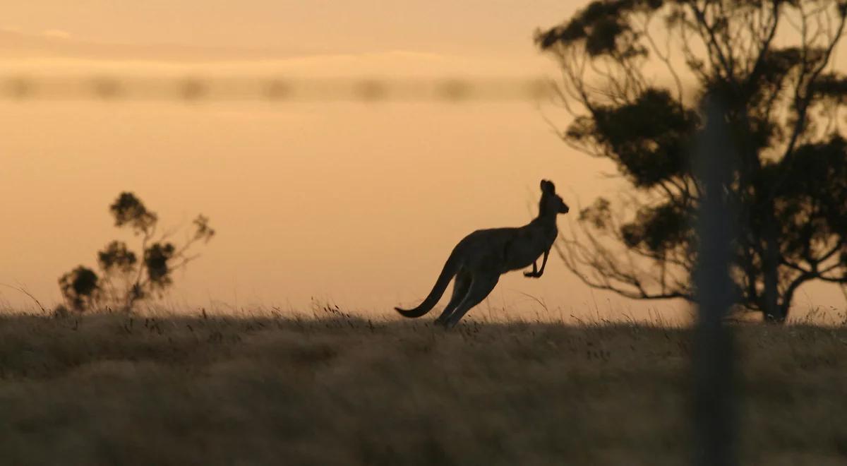 Australia może być atrakcyjnym rynkiem dla polskich firm