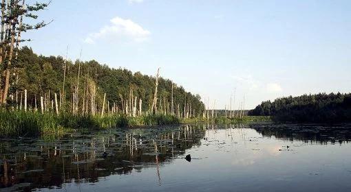 Rozbierają nowo zbudowaną obwodnicę