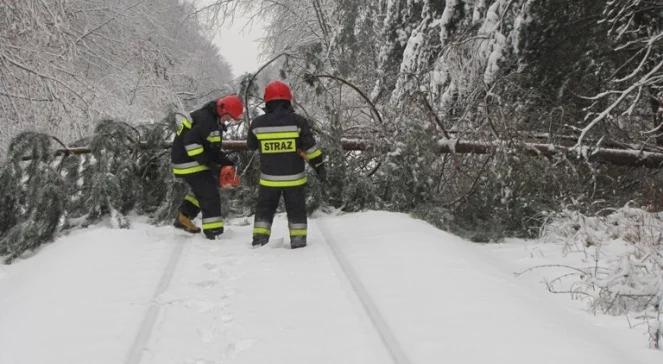 Zima nie odpuszcza. Podkarpacie bez prądu