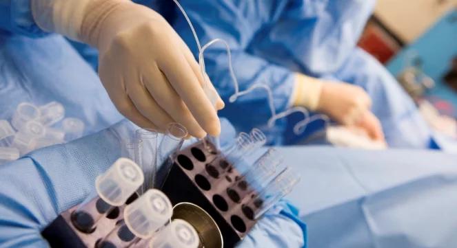 "Bruzda dotykowa" dzieci z in vitro. Ksiądz przeprasza