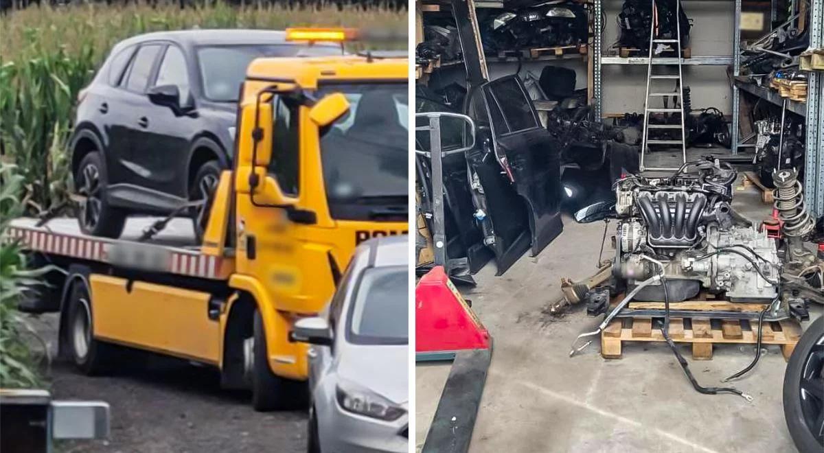 Kradli auta za granicą i demontowali w Polsce. Członkowie gangu w rękach policji