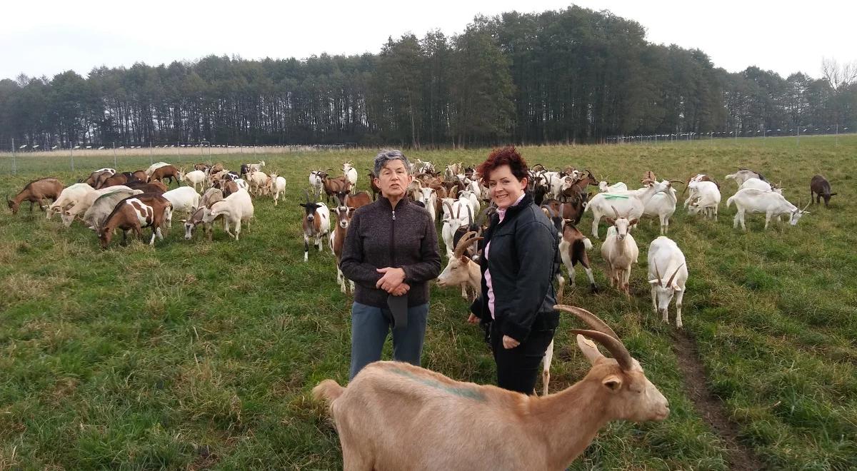 Kluczem do sukcesu jest uczciwość i najwyższa jakość