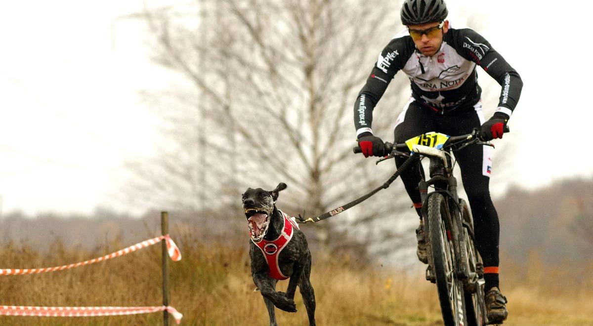 Igor Tracz o bikejoringu. "Poziom mistrzostw był potwornie wysoki"