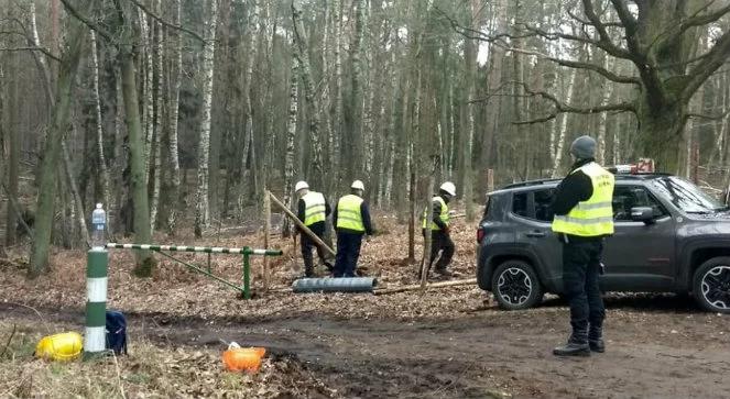 W Brukseli spotkanie ekspertów z Polski i KE ws. przekopu Mierzei Wiślanej