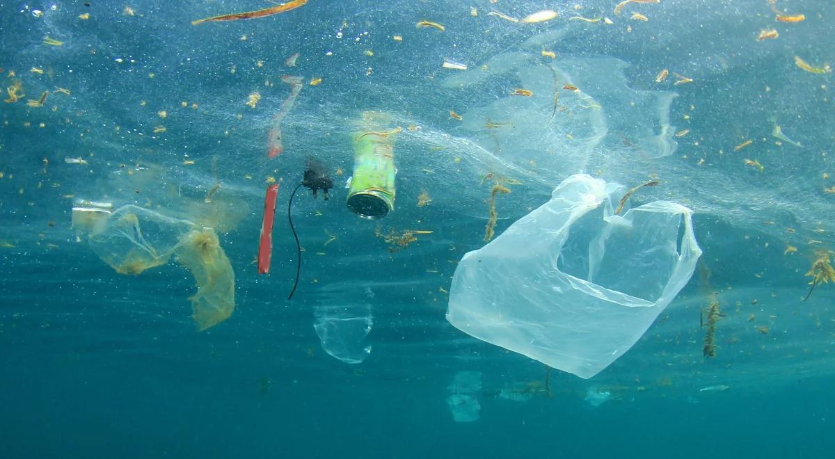 Jak plastikowa torebka trafia do ludzkiego żołądka?