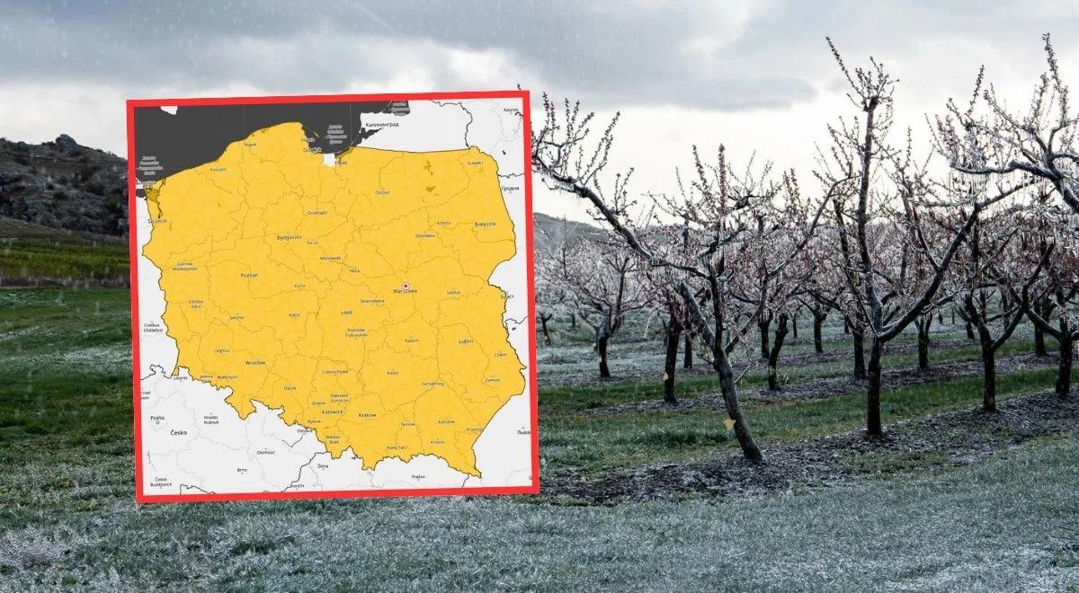 Przymrozki w całej Polsce. IMGW bije na alarm. Nawet -8 stopni