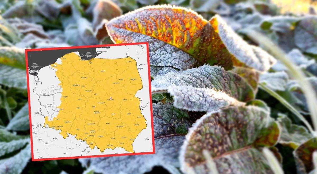 Zrobi się lodowato. Niemal cała Polska w żółtych alertach [MAPA]