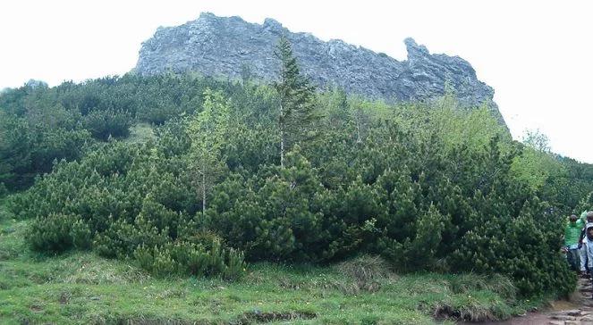 Tatry: ratownicy odnaleźli ciało mężczyzny