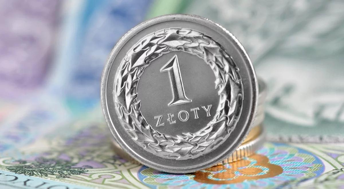 Złoty w tym tygodniu będzie nieco słabszy