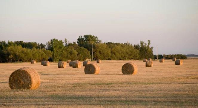 ANR: ziemia rolna znowu podrożała