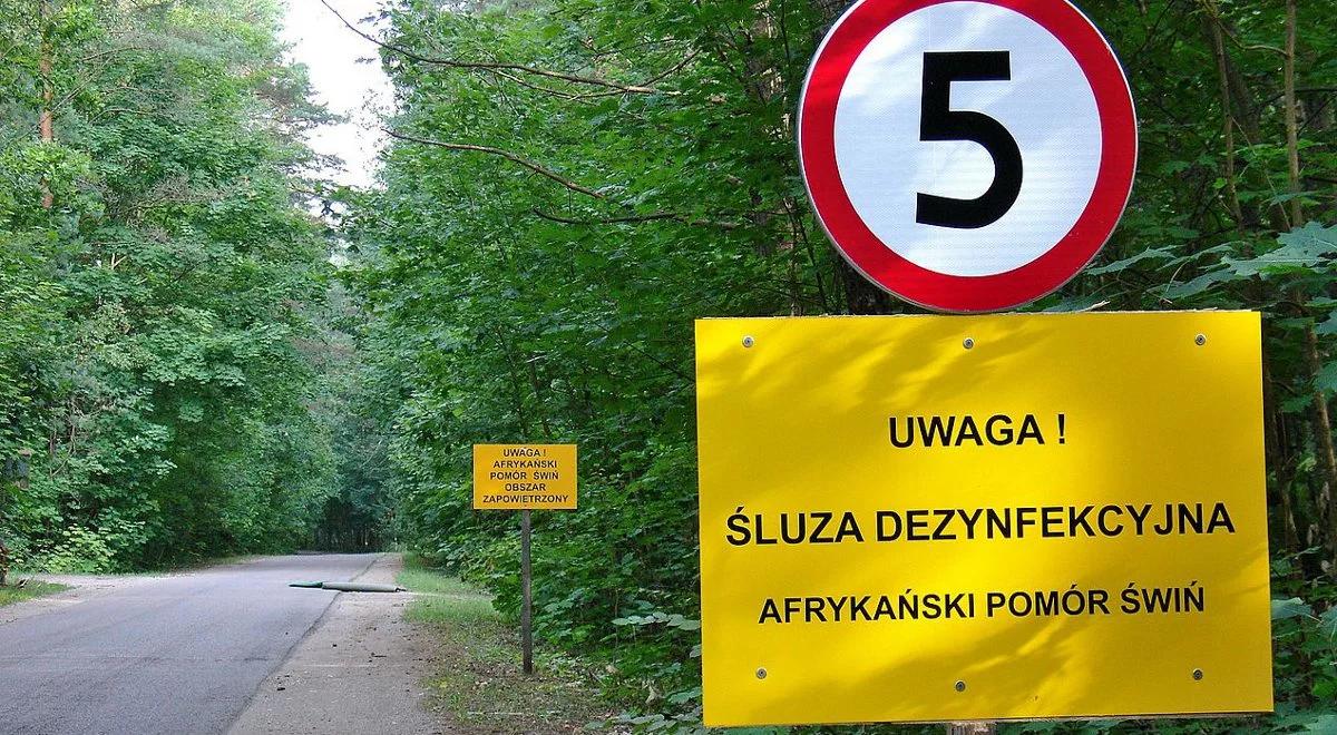 ASF: będą kolejne rozmowy KE z Polską ws. wsparcia rolników