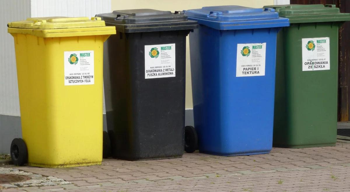 Selektywne zbieranie odpadów: samorządy mają czas do stycznia 2020 r.