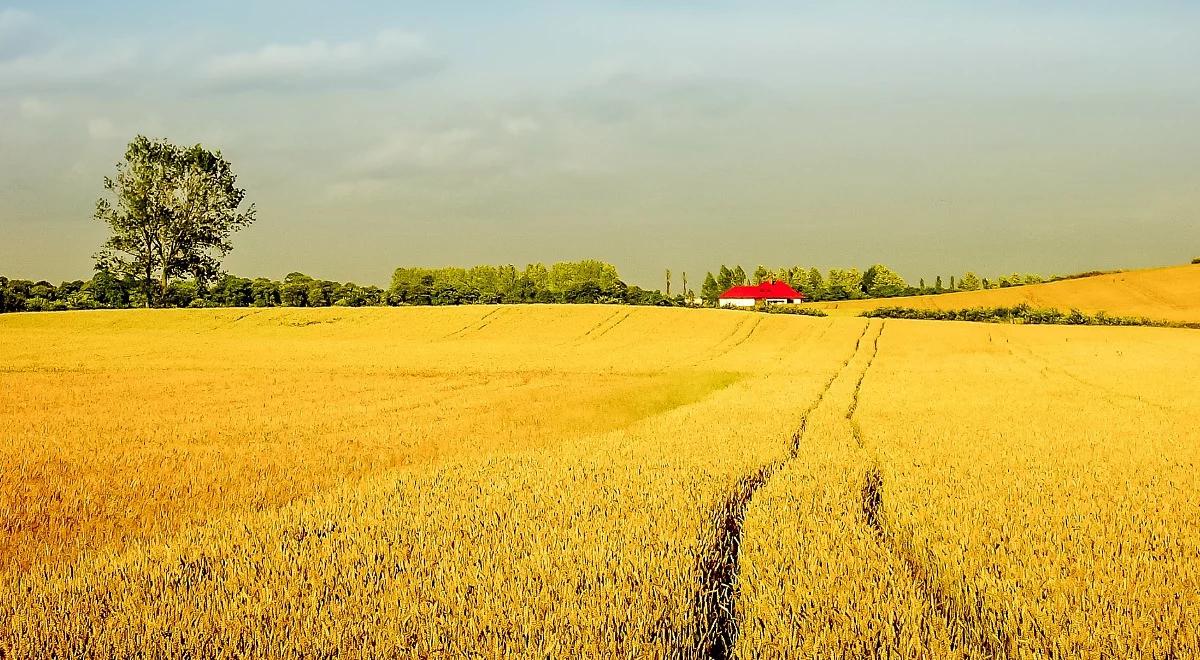 KOWR: ruszyły przetargi na dzierżawę ziemi. Do dyspozycji jest 60 tys. hektarów