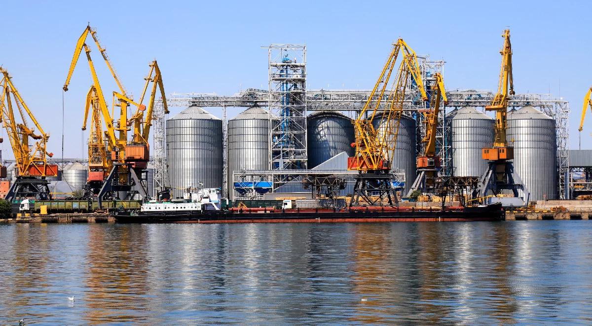 Pierwsze statki od wybuchu wojny przypłynęły po zboże na Ukrainę. To dzięki odbiciu Wyspy Węży