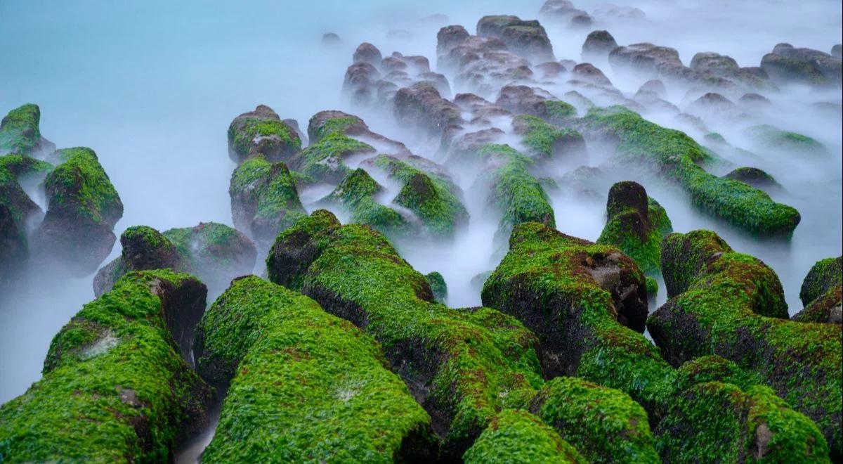 "Go green with Taiwan", czyli konkurs na ekologiczne wynalazki. "Dać szansę każdemu, kto ma pomysł"