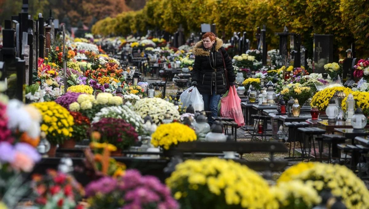 Prognoza pogody na Wszystkich Świętych: wietrznie i deszczowo
