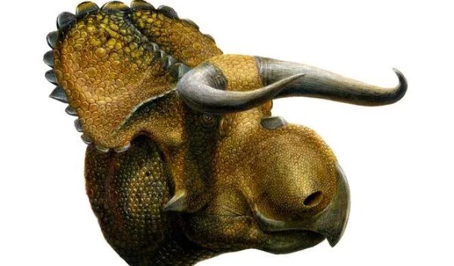 Naukowcy odkryli nowy gatunek dinozaura